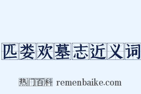 匹娄欢墓志近义词是什么意思的图片